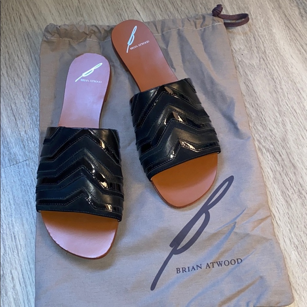 Brian Atwood Dahl slide